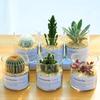 Jarrón Transparente de Vidrio de Alto Borosilicato Sencillo para Suculentas, Hidroponía, Maceta Paisajística de Tubo Recto, Botella de Jardinería para Cactus al por Mayor