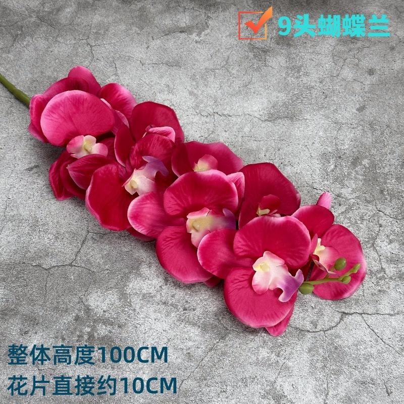 微信图片_20230414124151