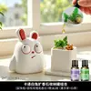 Coelho Vermelho de Desenho Animado Difusor de Pedra de Aromaterapia Sem Chama Óleo Essencial Quarto Casa Decoração de Mesa Criativa Nicho Decoração de Alto Padrão
