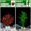 Planta de hierba acuática acuario césped real paisajismo ecológico juego completo de adornos cultivo de peces aumento de oxígeno fondo negativo hidropónico purificación vela excelente