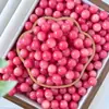 Cuentas de Semilla de Bodhi Natural al por Mayor, Cuentas Sueltas de Raíz de Bodhi, Accesorios de Cuentas Redondas, Manualidades para Hacer Pulseras DIY, Cuentas de Oración Budistas, Pulseras para Mujer