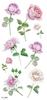 Exclusiva transfronteriza para la serie TL, pegatinas de tatuaje de flores a prueba de agua, pegatinas de tatuaje de transferencia de agua, juego de puntos