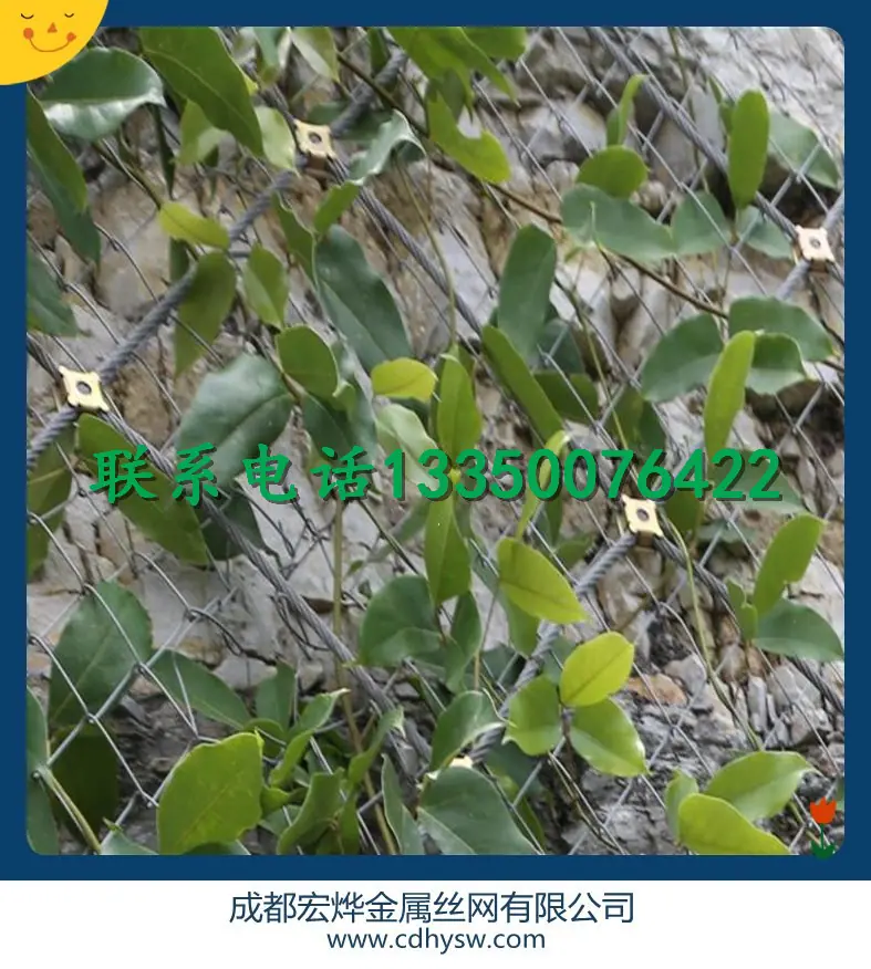 72345093252298_副本.jpg