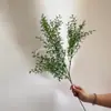 Flores Artificiais de Galho Paisagismo de Casamento Plantas Verdes Escritório Sala de Estar Decoração Suave Pinheiro Selvagem Artificial Grama de Aspargo Flores Secas