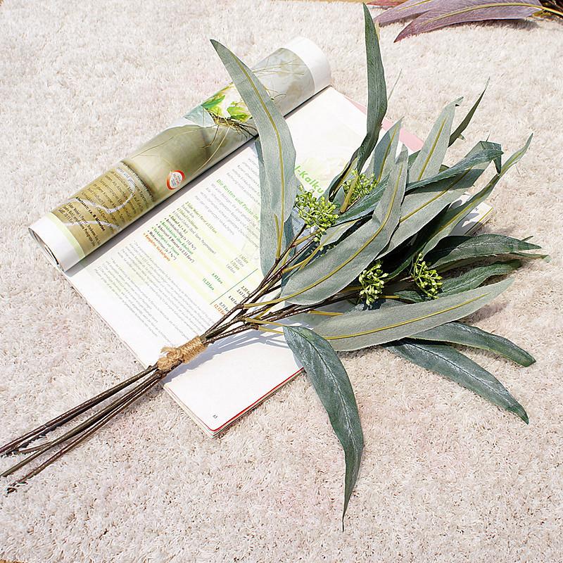 带果弯叶尤加利