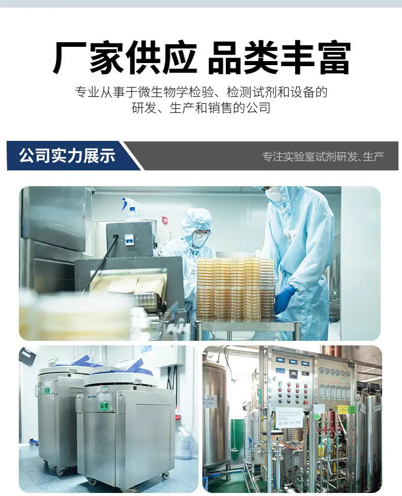 综合实力