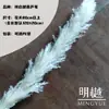 Caña Larga Vietnamita Flor Seca de Yunnan Ramo Decoración Esponjoso Fotografía de Boda Del Suelo al Techo Paisajismo Flor Inmortal Natural