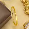 Pulseira para Mulheres Aço Titânio Europeia e Americana Não Desbota Cobre Inlaid Zircônio Pulseira Nicho High-End Moda Joias Atacado Joias de Mão