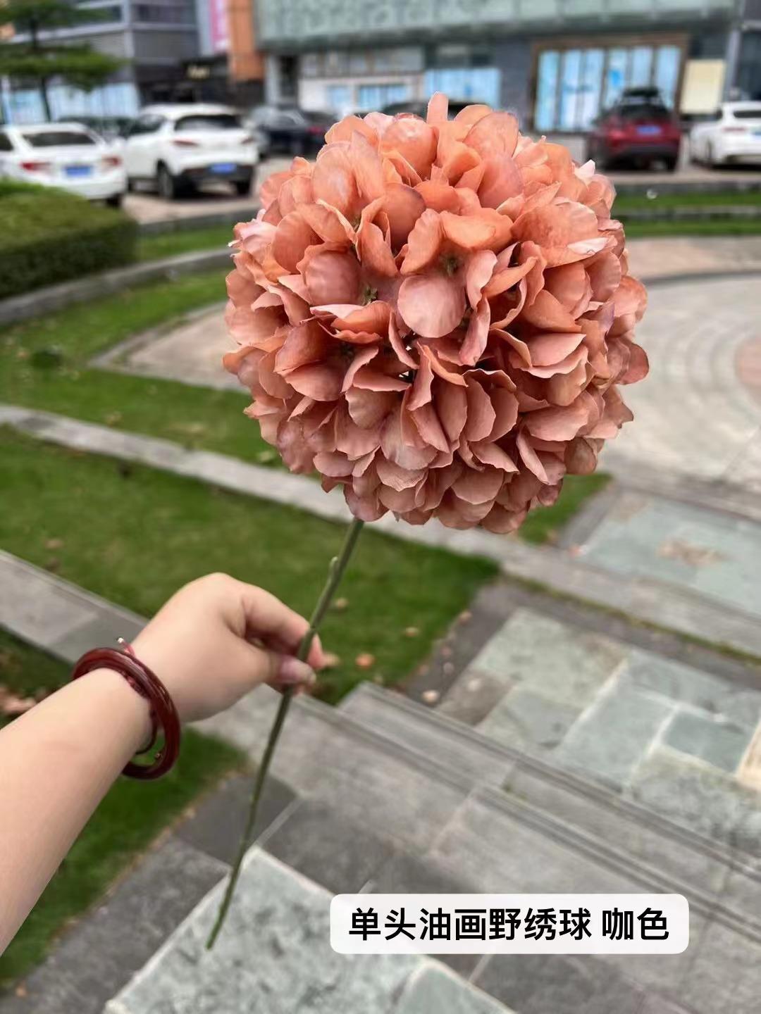 微信图片_20230805113846