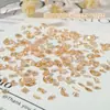 Mini Cor de Zircônio Revestido para Unhas Fada Gelo Zircônio Nu Super Brilho Cor Mágica Misturada Broca de Unha Cor de Fundo Zircônio