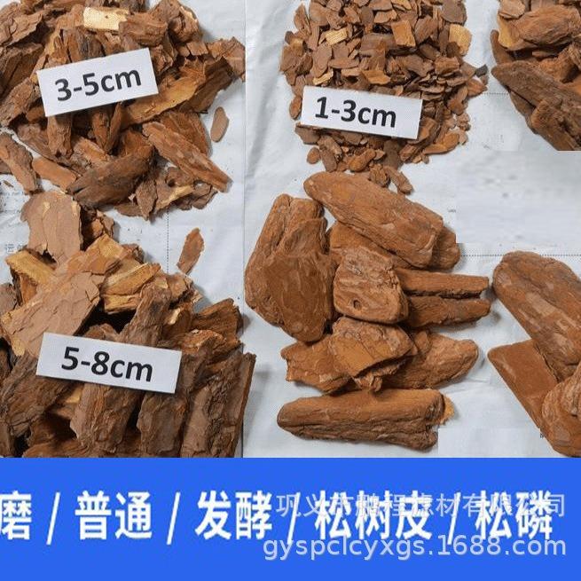 2023-11-23 11:04:27.jpg