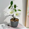 Decorações de Flor de Magnólia Simulada de Alta Qualidade, Conjunto de Flores para Mesa de Jantar da Sala de Estar, Novos Ornamentos Decorativos Clássicos Estilo Chinês