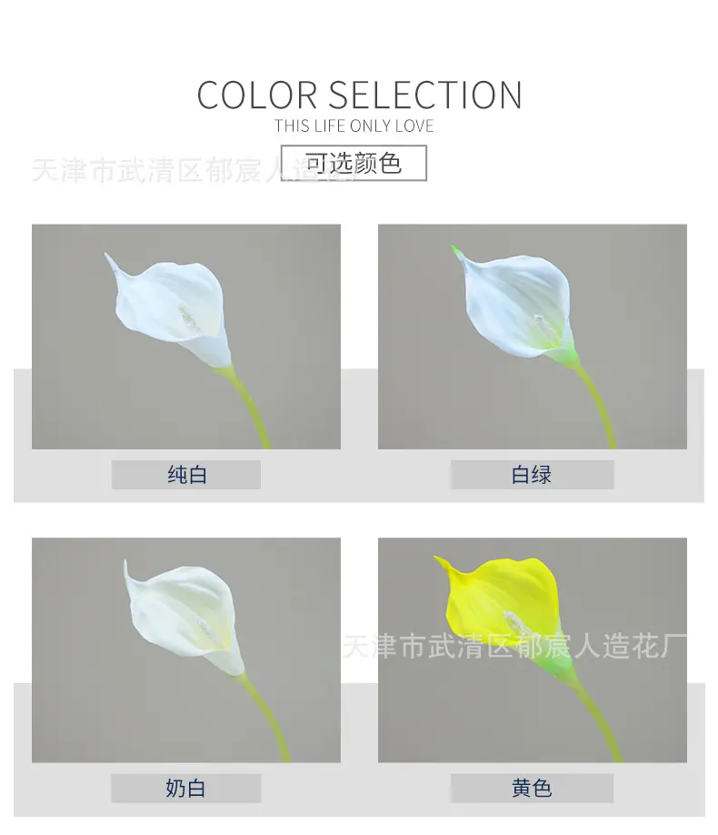 详情_02.jpg