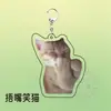 Llavero Acrílico Mini-Teatro de Memes de Gatos, Lindo y Divertido, Colgante Decorativo para Mochila, Regalo para Amigos