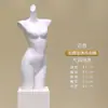 Soporte de exhibición de modelos de ropa interior Ventana de tienda de ropa para mujer Torso de maniquí Accesorios de exhibición Ropa interior para hombre Sujetadores Modelos Otros