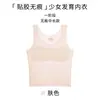 Ropa interior para estudiantes de secundaria para la etapa de desarrollo, Primera etapa para estudiantes de primaria, Edades 6-12, Camiseta sin costuras antibacteriana anti-golpes para niñas