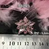 Decoração de Roupas Contas de Cristal Lantejoulas Flores Tridimensionais Sapatos Bordados à Mão Bolsas
