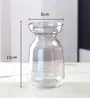 Jarrón de Vidrio Escandinavo Estilo Ins Pequeño de Vidrio Gama Alta Hidropónico Florero Adornos Decorativos Simples Venta al por Mayor