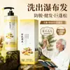 Shampoo Anti-Queda com Folha de Cipreste e Gengibre, Anticaspa e Controle de Oleosidade, Fórmula Tradicional Anti-Queda, Fortalecimento Capilar, Shampoo Volumoso, Refrescante e Macio