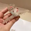 Pinza para el pelo de acetato brillante iridiscente, estilo japonés y coreano, fresca y dulce, ligera, pinza de garra perezosa, 2025 Primavera, Hecho en Yiwu