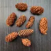 30 Pinhas, Pinhas Bonitas, Decoração de Jardim de Infância, Joias Criativas Feitas à Mão, Pintura de Pinhas, Torre de Pinhas DIY Pinha