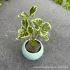 Folhas de Flocos de Neve Artificiais, Folhas de Banyan em Formato de Coração, Enfeites de Decoração para Acomodação Doméstica, Trevo de Quatro Folhas Estilo Floresta com Folhas Verdes, Plantas Verdes Artificiais