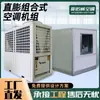 Unidad de Aire Acondicionado Tipo Expansión Directa, Unidad de Purificación de Temperatura y Humedad Constantes, Doble Uso para Refrigeración y Calefacción, Unidad de Aire Acondicionado Tipo Combinado de Expansión Directa