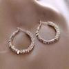 Brincos de prata quebrados com diamante flash Brincos de moda de luxo leves TikTok E-commerce Explosões Primavera e verão Brincos exclusivos Brincos de metal