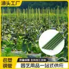 Suporte Fixo para Planta e Flor Tubo de Aço Revestido de Plástico Estrutura de Fixação para Trepadeira Haste para Trepadeira Pepino Feijão Uva