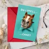 Compra directa transfronteriza de tarjetas de felicitación temáticas de caballos, peculiares y lindas, con agujeros, perfectas para deseos de cumpleaños, regalos creativos, mensajes escritos a mano y tarjetas navideñas