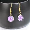 Aretes frescos directos de fábrica elegantes aretes de gota de flor de durazno rosa natural gancho para la oreja joyería de Jingdezhen estilo flor seca