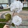 Hortensia verde de simulación de 2 cabezas Fabricantes Hortensia Xiyan de 2 cabezas blanca boda guía de camino decoración suave flor artificial al por mayor
