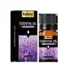 Aceite Esencial de Aromaterapia sin Llama de Venta Caliente Transfronteriza para Ambientar el Hogar, Aceite Esencial Hidrosoluble Específico para Humidificador, Venta al por Mayor desde el Fabricante