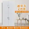 Gabinete de archivo para oficina en Chengdu Gabinete de documentos Gabinete de chapa metálica Estantería Gabinete de comprobantes financieros Gabinete de almacenamiento Gabinete para vestuario de empleados Ninguno