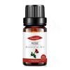 Empaque Completamente en Inglés Aceite Esencial Único de Árbol de Té para Fragancia de Velas DIY, Aceite Esencial de Árbol de Té, Aceite Esencial de Aromaterapia de Árbol de Té
