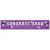 Nuevo Banner de Temporada de Graduación Fiesta de Celebración de Graduación Decoración de Aula al Aire Libre Banner de Poliéster Tela Colgante Diseño de Jardín