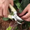 Tijeras para ramas de acero inoxidable, Tijeras de podar, Tijeras para podar frutas y flores, Tijeras para podar árboles frutales de jardín, Tijeras para injertar ramas de flores, Tijeras de podar de jardinería, Tijeras para podar flores