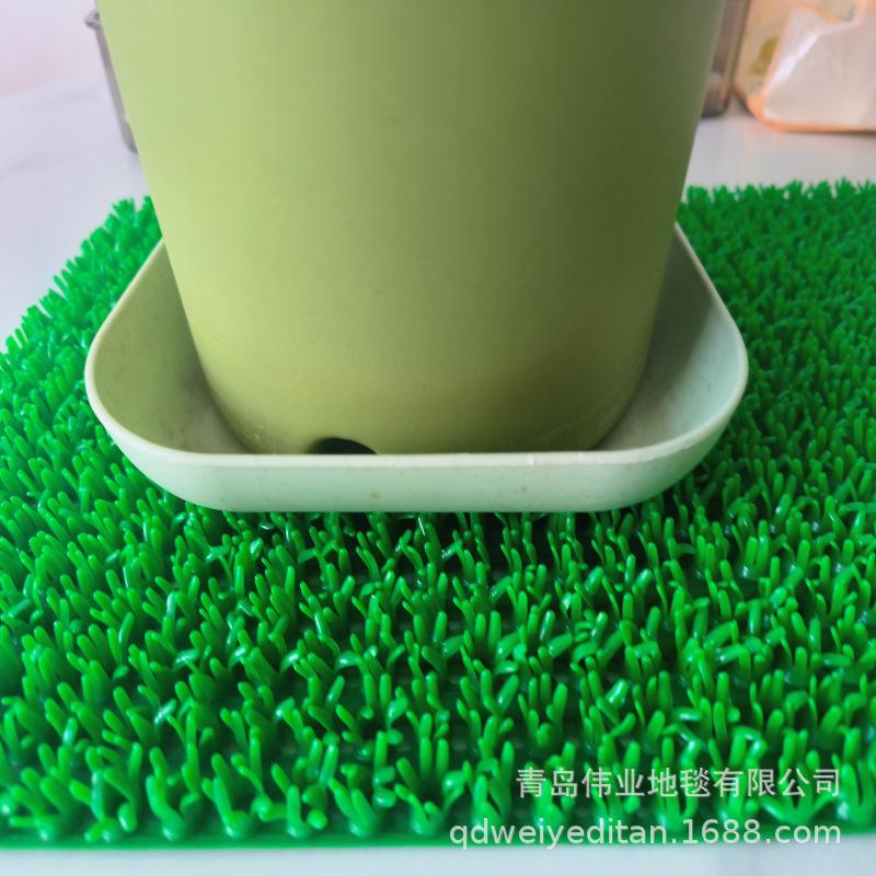 小绿草