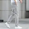 Pantalones de hombre de verano Hong Kong, finos, pierna recta, corte slim, de alta gama, modernos, versátiles, elásticos, business casual