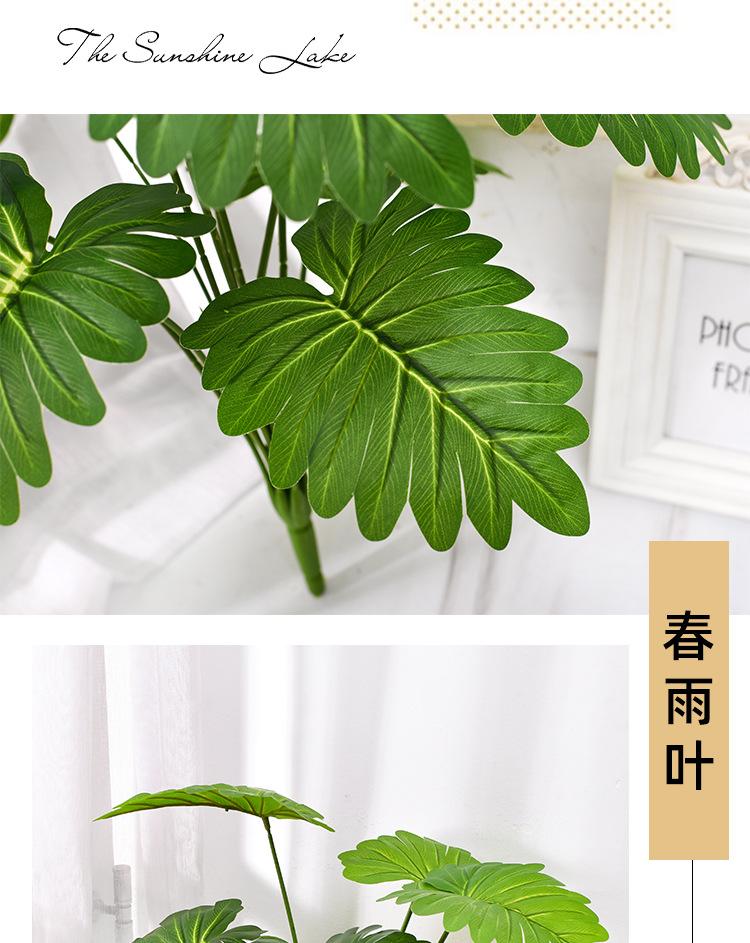 详情_14.jpg