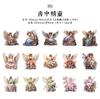 Paquete de stickers PET Yanji serie diversa Elfo tema elfo cuenta de mano material DIY stickers decorativos 30 piezas 6 modelos
