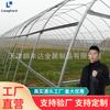 Tubo de estufa galvanizado para plantio e reprodução Tubo de aço para estufa Tianjin 6 polegadas Resistência Fácil de dobrar Tubo de estufa