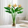 Ave del Paraíso Planta Hidropónica Planta Verde Planta de Interior en Maceta Sala de Estar Oficina Escritorio Bonsái Strelitzia Es Fácil de Mantener en Todas las Estaciones