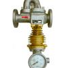 Medidor de flujo de vapor de rotor de derivación LFX medidor de flujo de vapor tipo de flujo recto medidor de flujo de derivación DN25 50 80