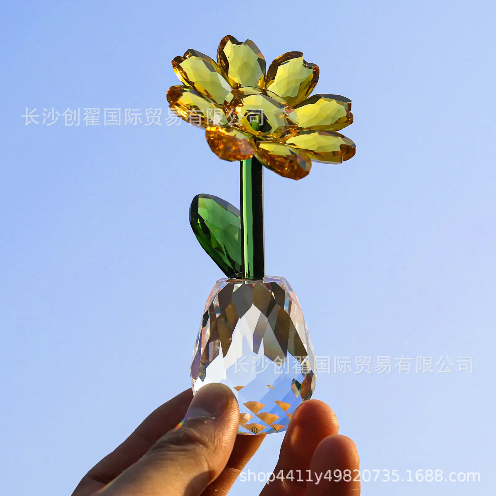 太阳花_12.jpg