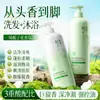 Fragancia Juvenil Aceite Suave de Gardenia Control de Grasa Champú para Adolescentes Esponjoso Anticaspa Anti-Picazón Suave Fragancia de Larga Duración