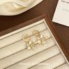 Nova Super Flor de Fada Diamante Orelha Fivela Luz Luxo High-end Brincos Pequenos Frescos Elegantes All-match Brincos para Mulheres