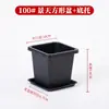 Maceta Cuadrada Engrosada Transpirable para Sedum Maceta para Flores Suculentas Plástico Pequeña Negra Cuadrada Maceta para Plántulas Flor Planta Verde Control de Raíces Anti-Pudrición de Raíz