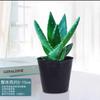 Envío directo Aloe Vera en maceta Interior Dormitorio Purificador de aire Resistente a la sequía Florales y Plantas Verdes Escritorio de oficina Buen almacenamiento
