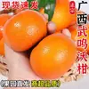 Laranjas Frescas Wogan Autênticas de Wuming, Guangxi Fruta Produtos Sazonais de Ano Novo 9 Jin Tangerinas Mel Cítricos Fruta Grande Caixa Inteira Frete Grátis 5